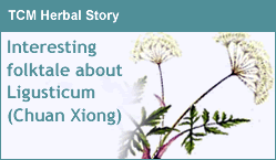 TCM Herbal Story