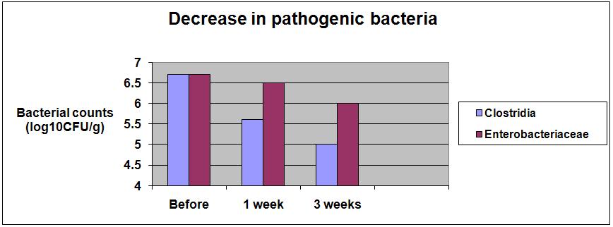 Decrease in pathogenic bacteria clostridia enterobacteriaceae